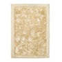 Origins Shimmer Shaggy Border Champagne