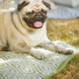 Hug Rug Woven Diamond Rug Green