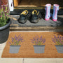 My Mat Coir - Lavender