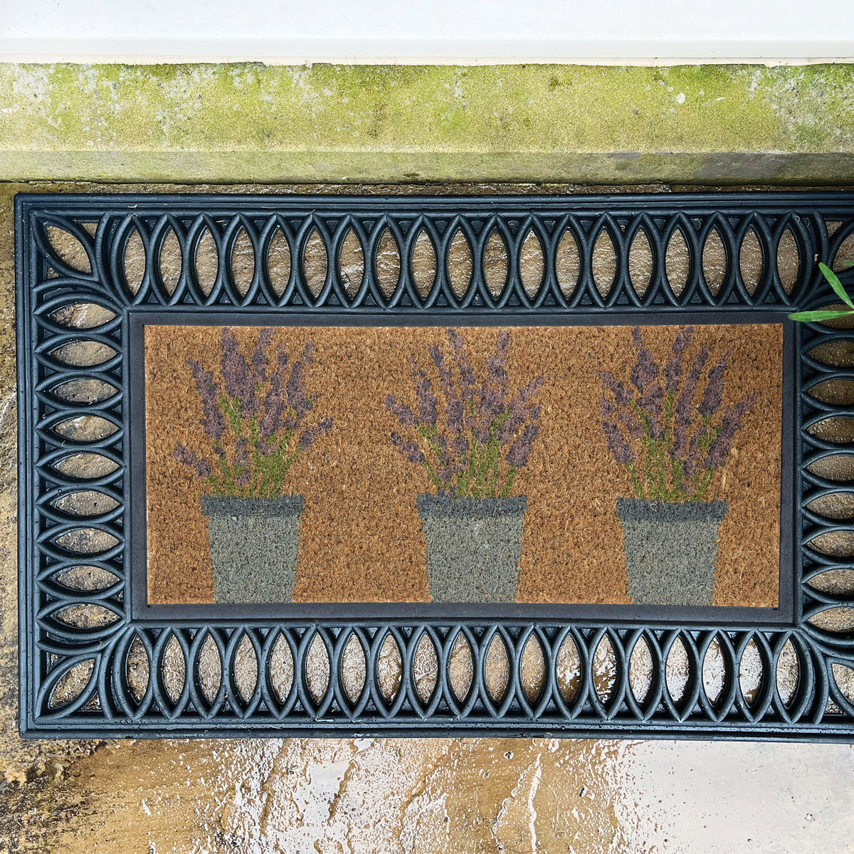 My Mat Coir Insert - Lavender