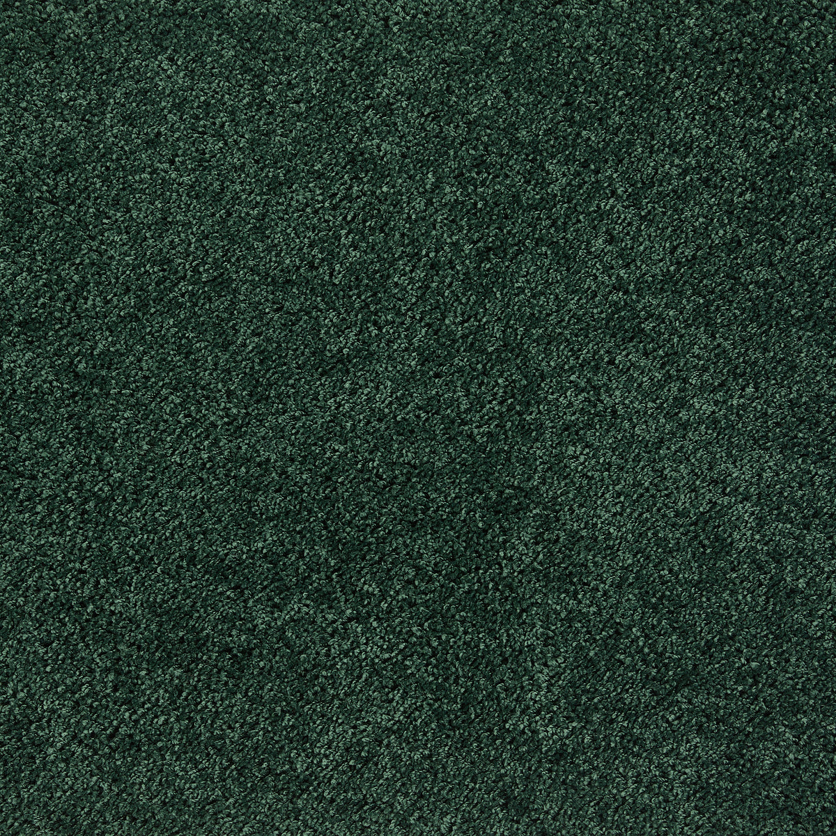 Howler & Scratch Shaggy Rug Forest Green
