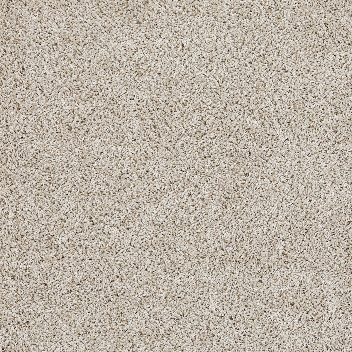 Howler & Scratch Shaggy Rug Stone