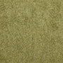 My Rug Olive