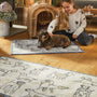 Hug Rug - Pet 70