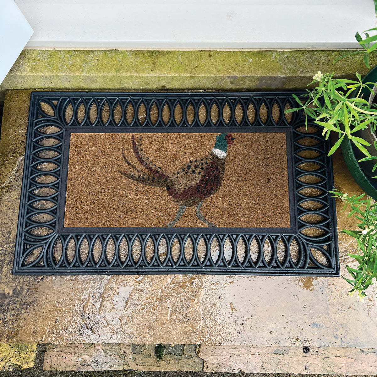 My Mat Coir Insert - Pheasant