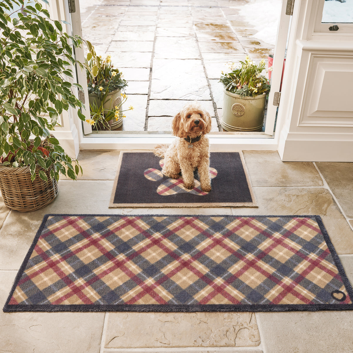 Hug Rug Tartan Paws