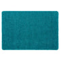 My Rug Teal