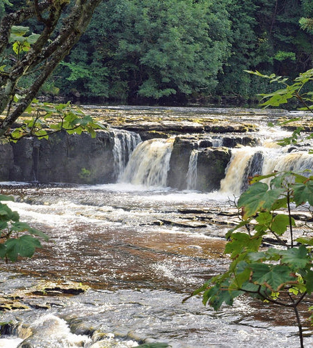 a small waterfall in the middle of a forest.