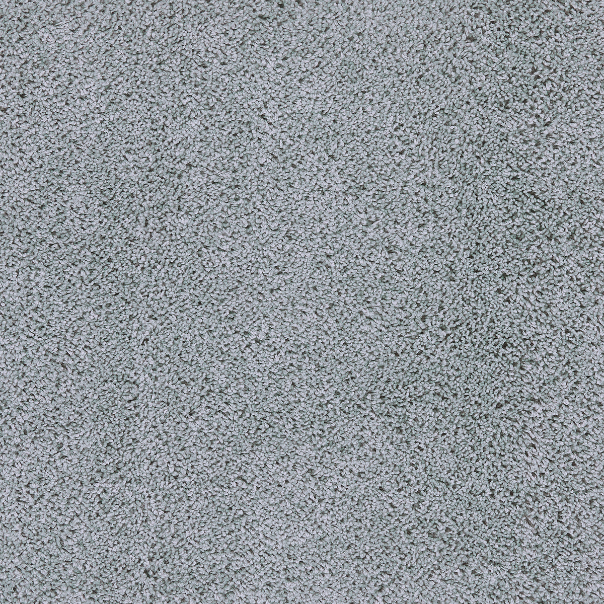 Howler & Scratch Shaggy Rug Soft Blue
