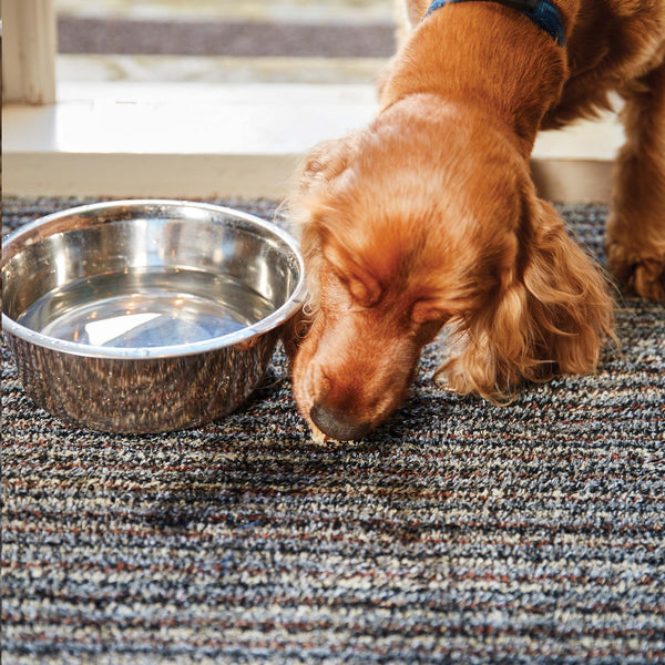 Hug Rug - Washable Doormats & Rugs - Phoenox Textiles