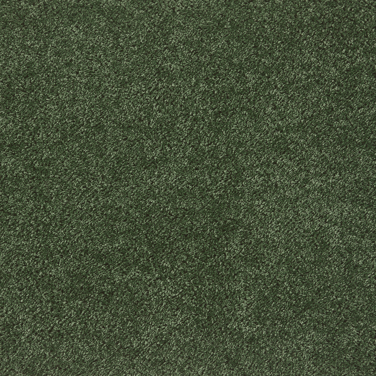 My Rug Forest Green
