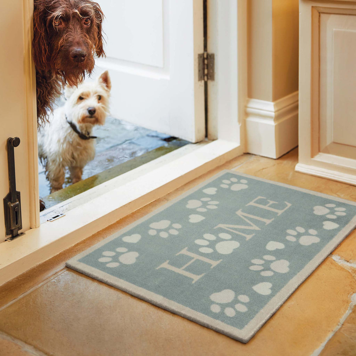 Hug Rug Home Paws Blue