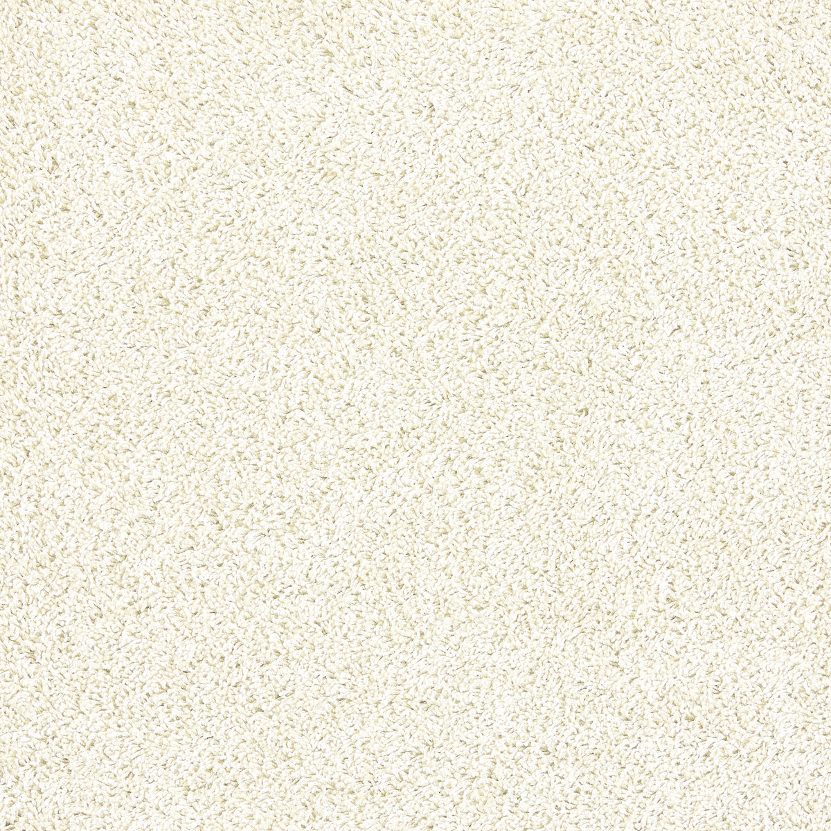 Howler & Scratch Shaggy Rug Ivory