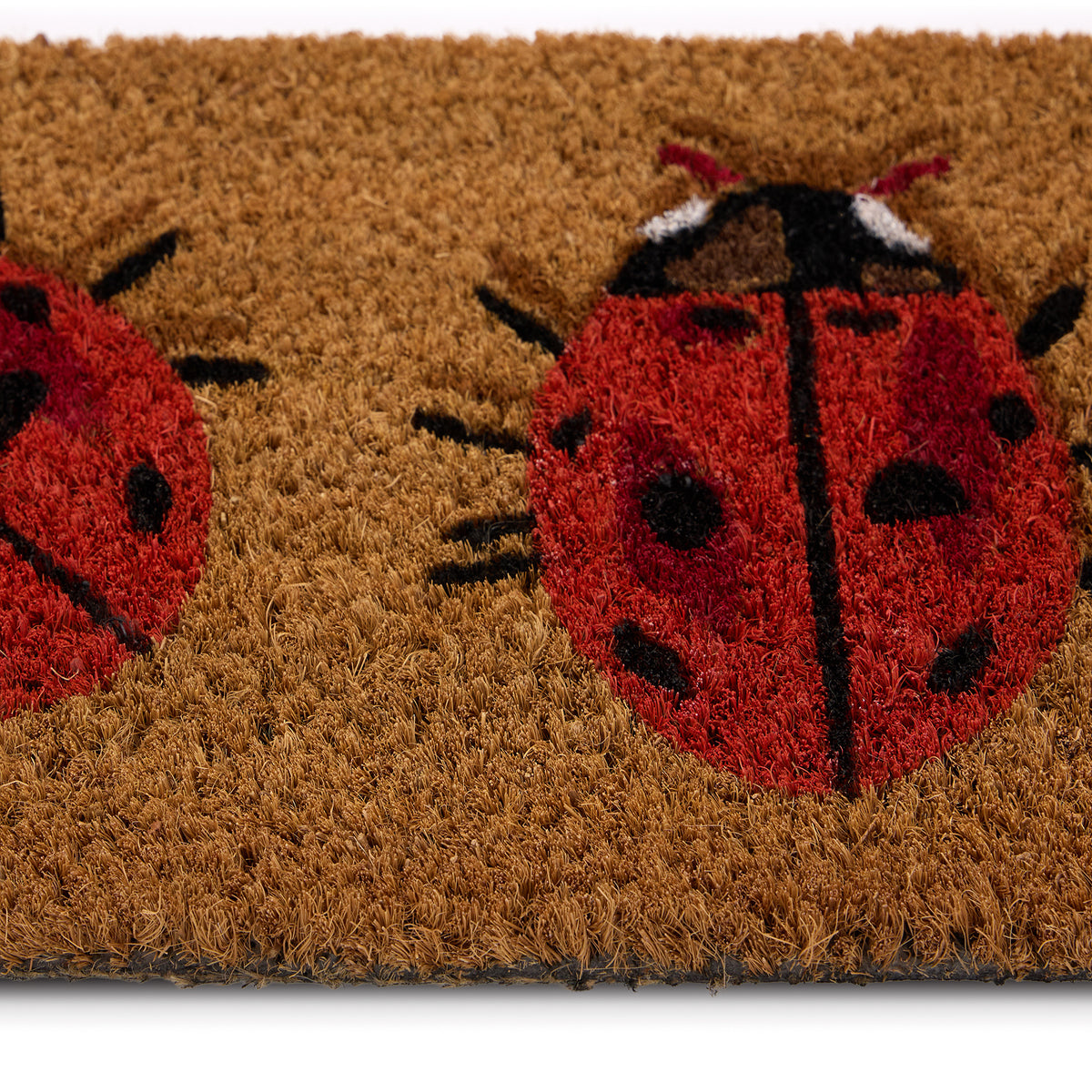 My Mat Coir Insert Lady Birds