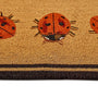 My Mat Printed Coir Ladybird Doormat