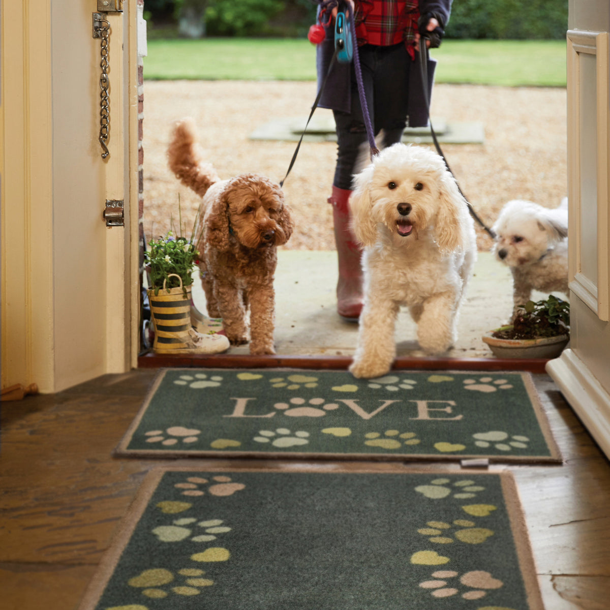 Hug Rug Love Paws