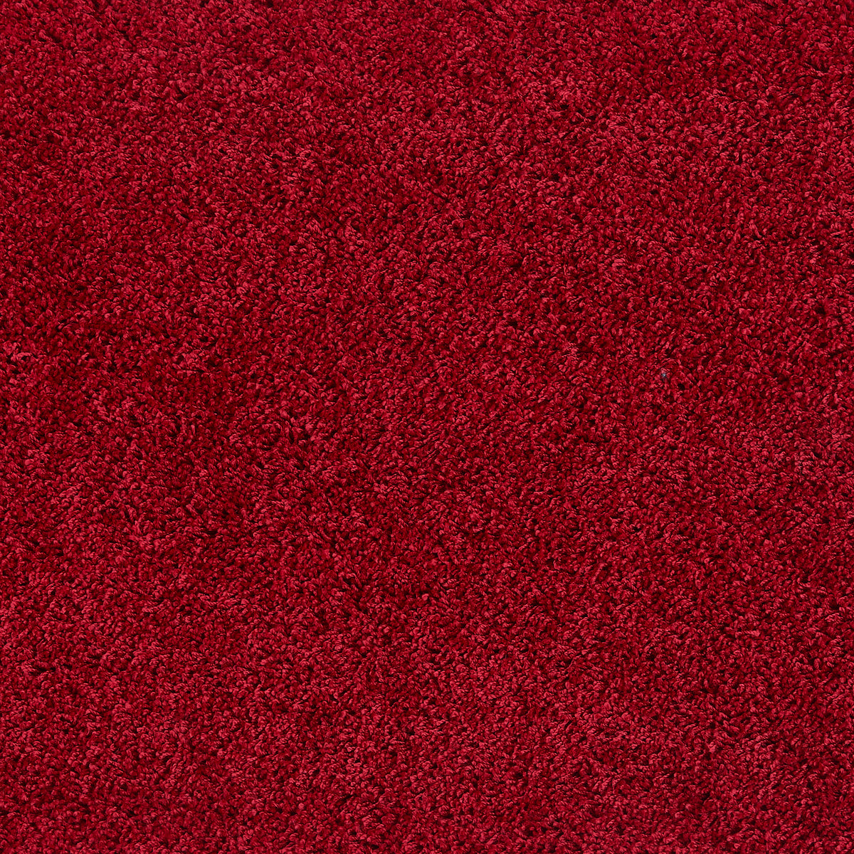 Howler & Scratch Shaggy Rug Red