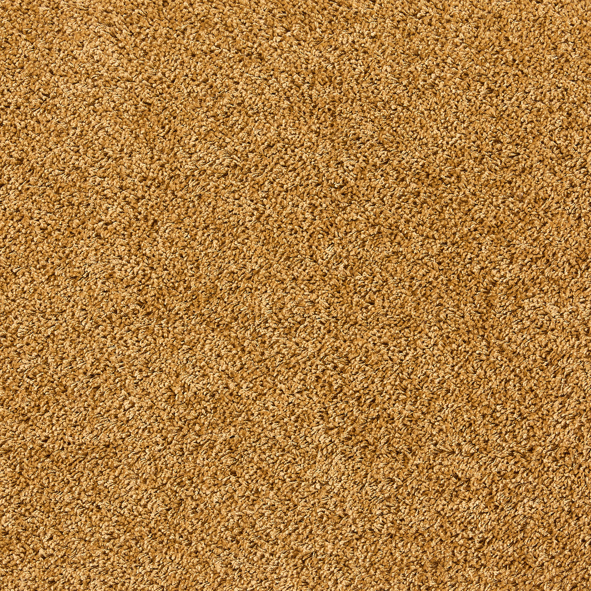 Howler & Scratch Shaggy Rug Ochre