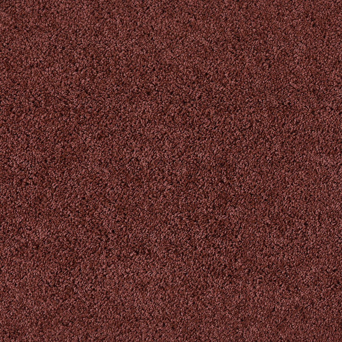 Howler & Scratch Shaggy Rug Ox Red