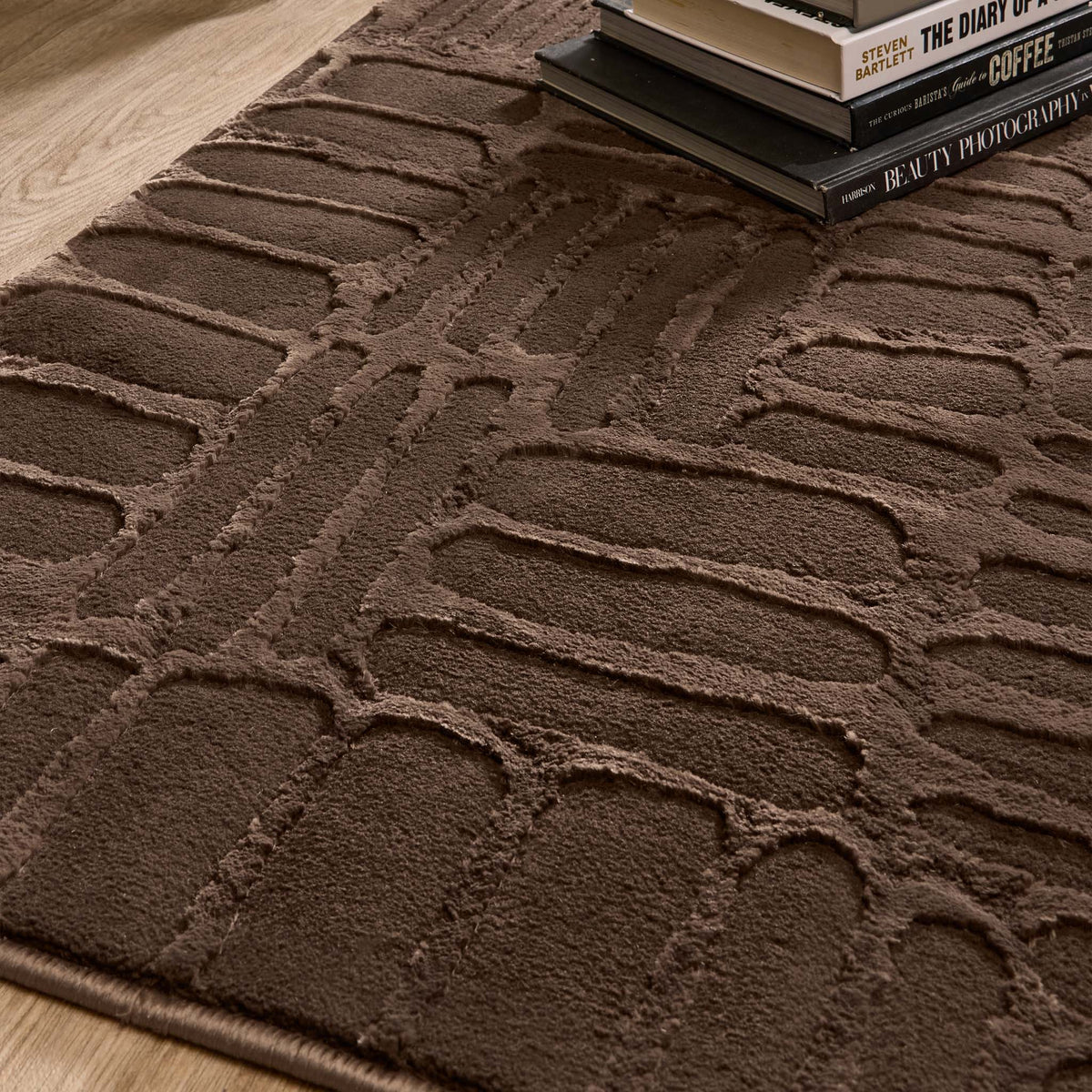 Origins Pathway Chocolate Rug