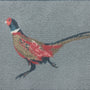 Hug Rug - Pheasant 1