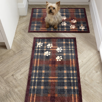 Howler & Scratch Plaid Paws