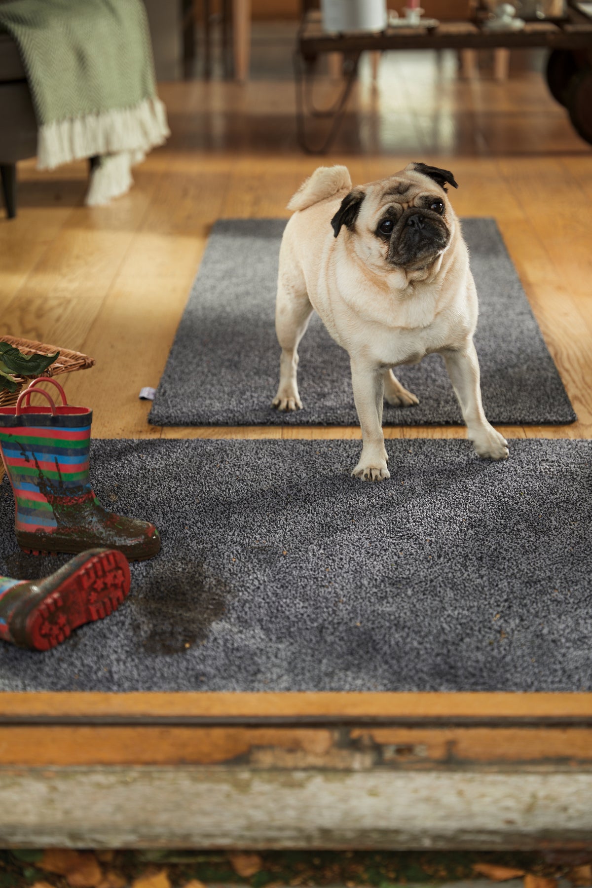 Hug Rug - Plain Charcoal