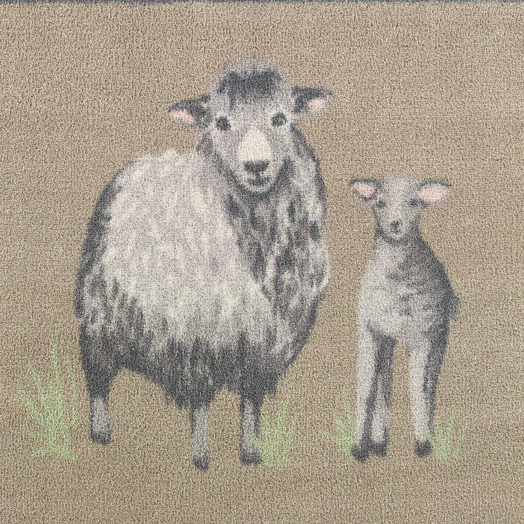 Hug Rug - Sheep 1