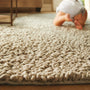 Rug Guru Union Oyster