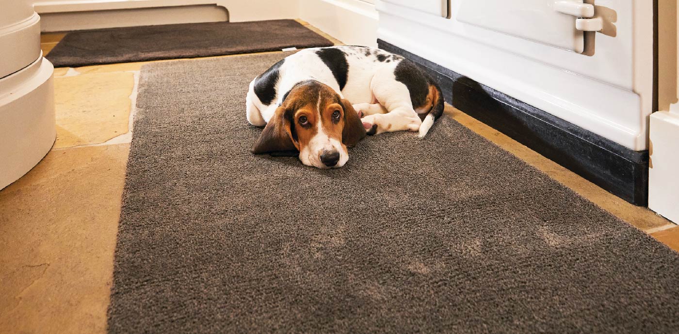 Dog lying on brown floor mat in kitchen