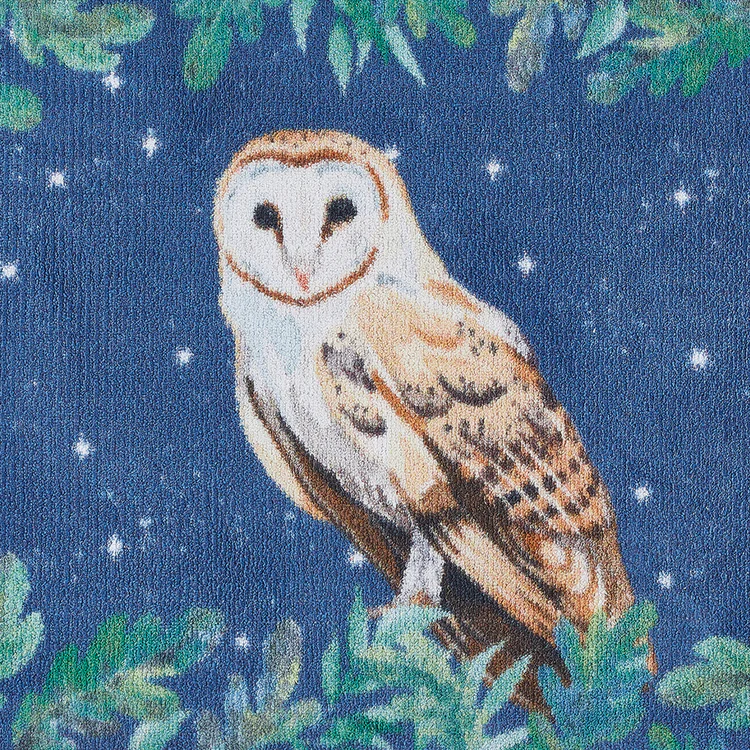 Hug Rug - Owl 1