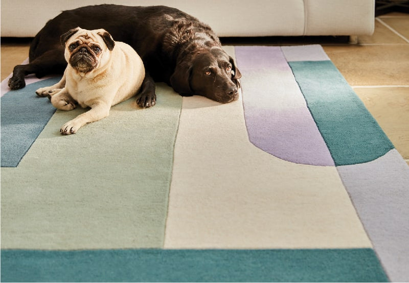 2 dogs lying on a geometric purple, white, blue and green rug